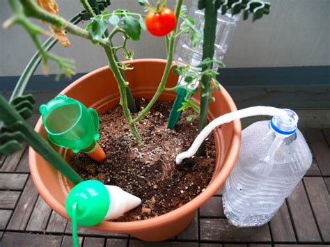 長時間不在家 植物|安心して旅行に行ける「留守中の水やり」の方法